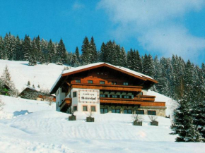 Modern Holiday Home in Maria Alm near Ski Area